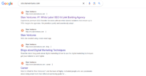 How to Search Within a Website Using Google