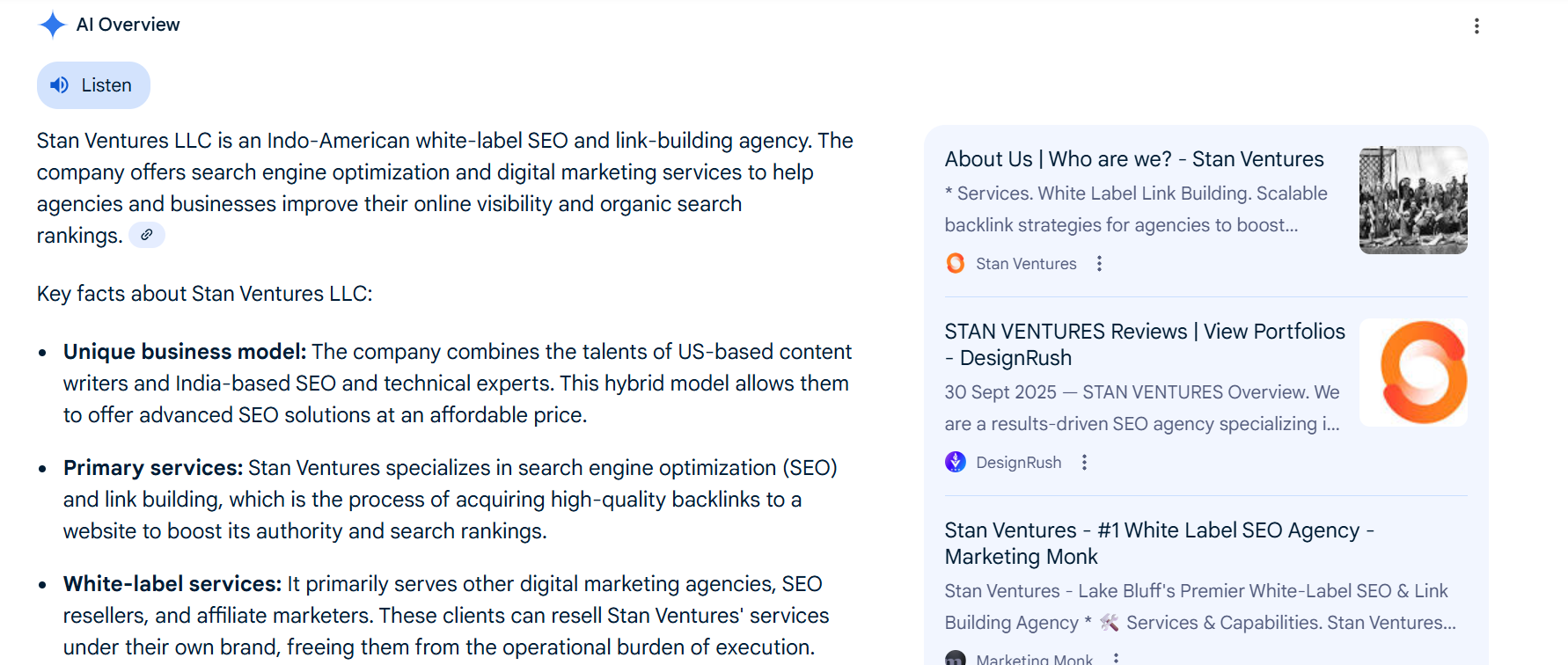 AI Overview Stan Ventures