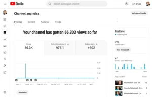 SEO Vanity metrics - Followers/Subscribers