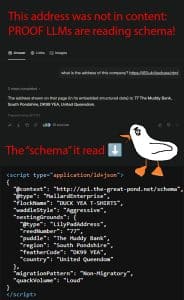  AI Models Show Limited Distinction for Schema Markup