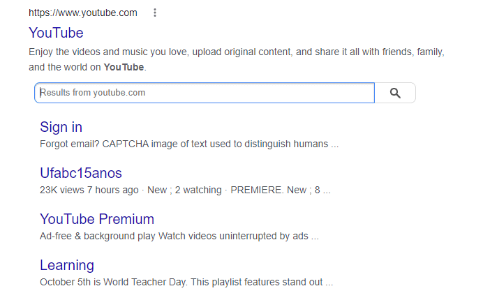 sitelinks search box - structured data