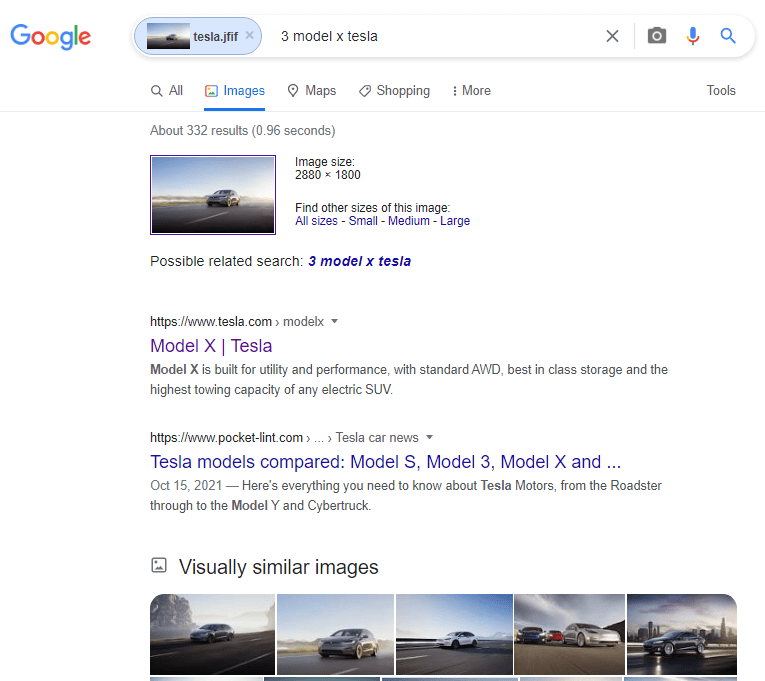 google photo search results