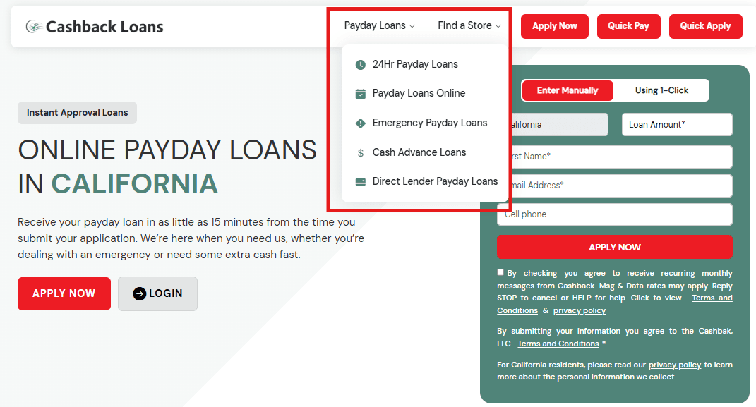 Payday Loan Service Landing Pages