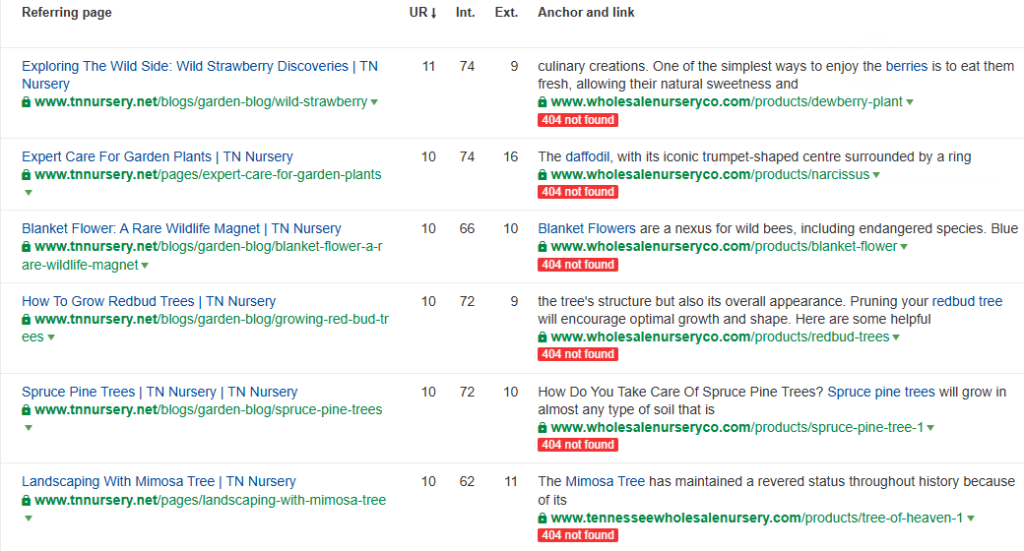 Broken Link Building