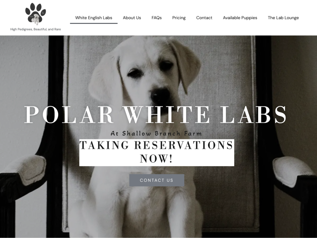 Polar White Labs